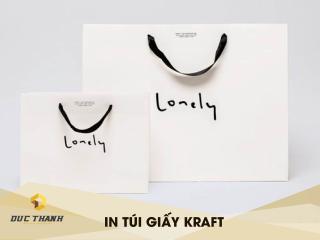 Túi giấy đựng quà đa dạng mẫu mã giá rẻ tại xưởng in Đức Thành