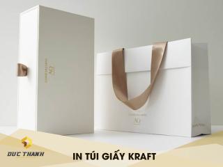 Tổng hợp những mẫu túi xách giấy giá rẻ ấn tượng nhất 2020