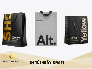 Dịch vụ thiết kế túi giấy chuyên nghiệp, giá rẻ tại Hà Nội