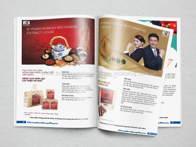 Hướng dẫn thiết kế catalogue chuyên nghiệp và đẹp nhất 2026