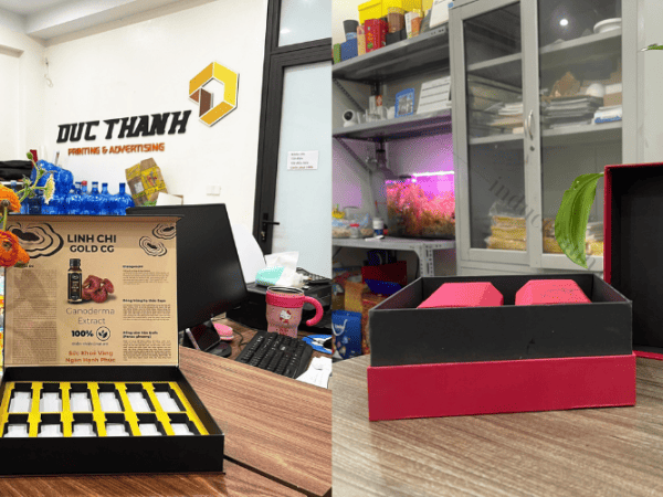 Xưởng In Hộp Giấy Giá Rẻ Tại Hà Nội - Uy Tín - Chất Lượng Cao