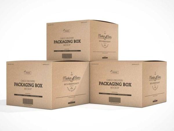 In Hộp Carton - Thùng Carton