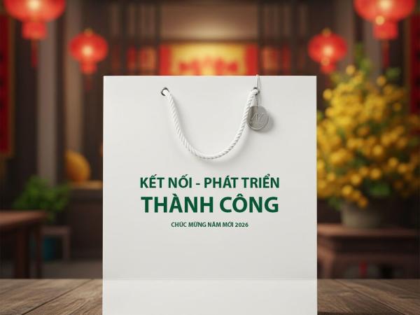 In Túi Giấy Đựng Quà Tết Theo Yêu Cầu Tại Hà Nội