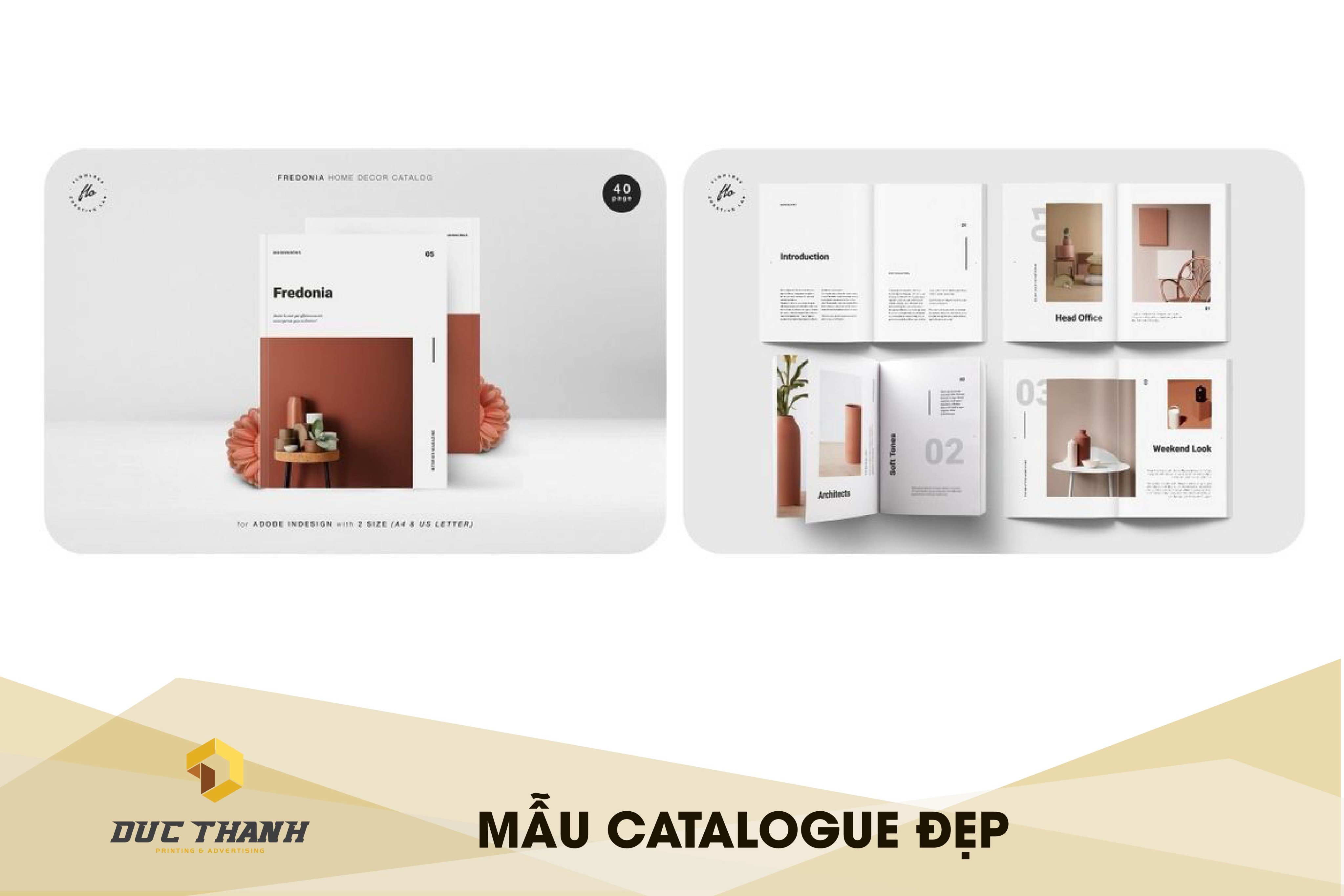 In Catalogue Giá Rẻ Theo Yêu Cầu Tại Hà Nội In Đức Thành