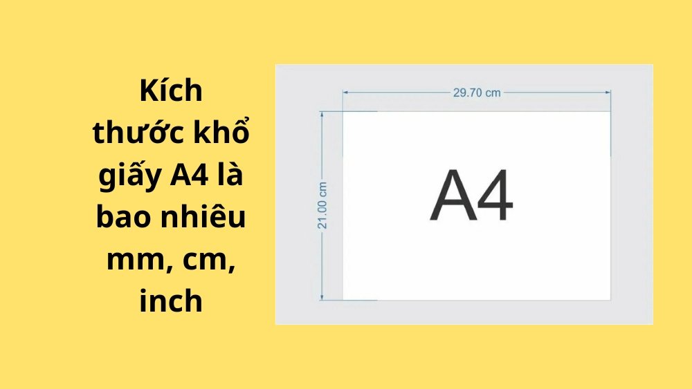 Kích thước khổ giấy A4 là bao nhiêu cm, inch? Ứng dụng trong cuộc sống