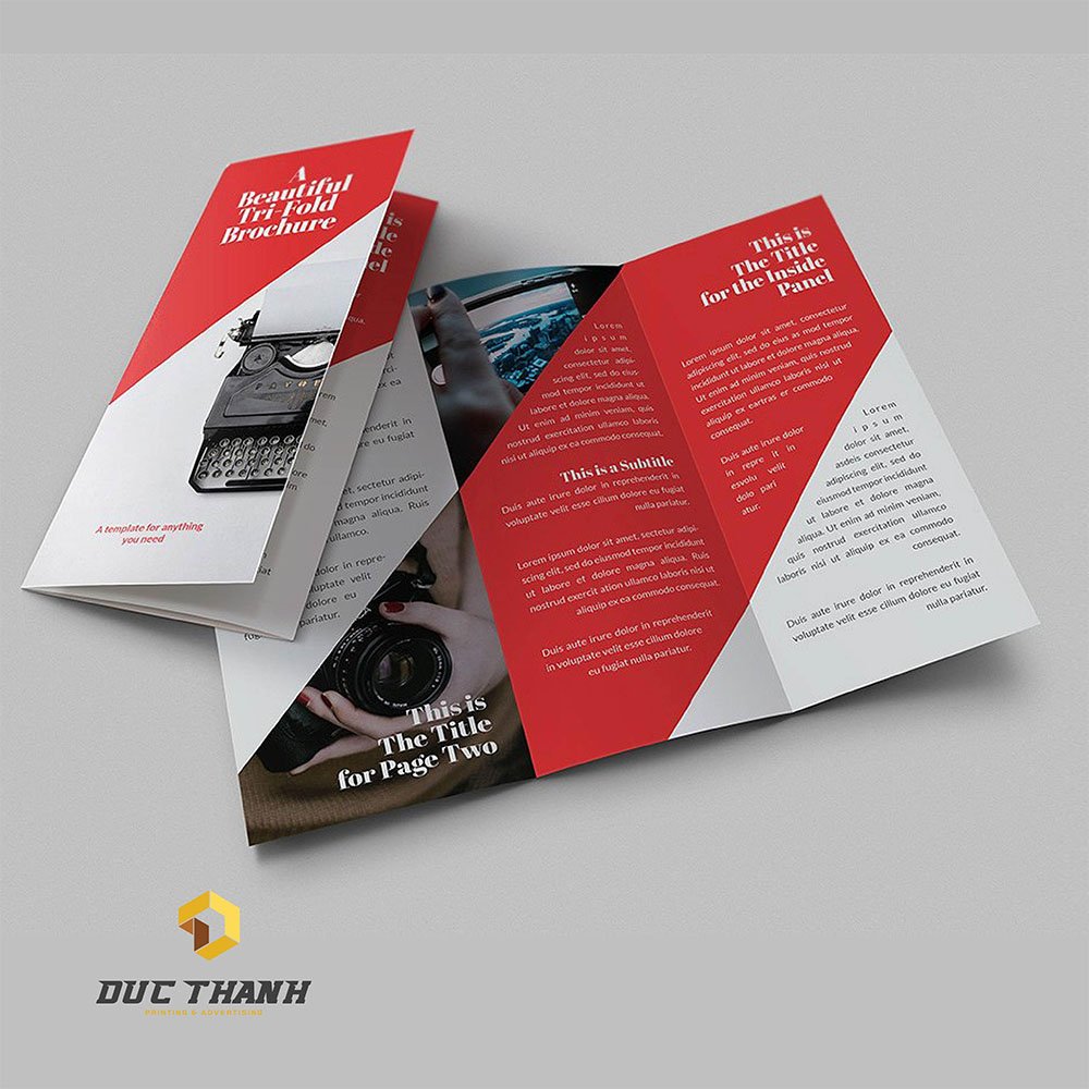 in Brochure là gì?
