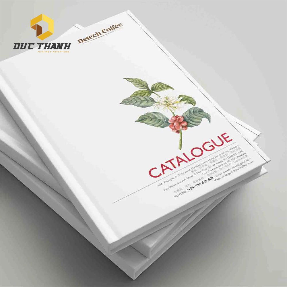 Tại sao nên chọn in catalogue bìa cứng?