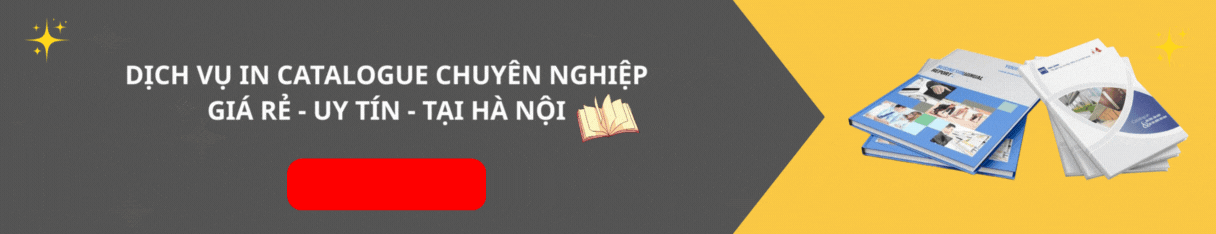 Dịch vụ in catalogue chuyển nghiệp